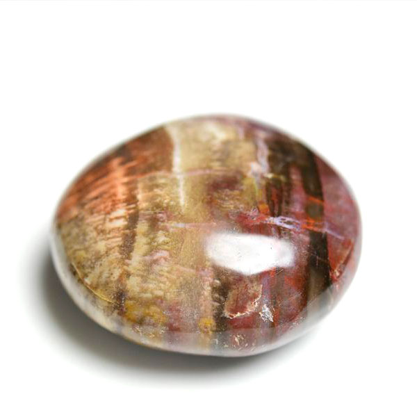 ペトリファイドウッド 珪化木 パームストーン 握り石 マダガスカル産  約...