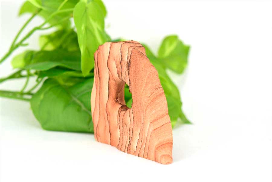 ����ɥ��ȡ��� �ʥХۥ��ȡ��� ��ʪ �ڥ���ꥫ�����꥾�ʽ����ۡ���217.5g�ۺ���åʥХۥ��ȡ���å���ɥ��ȡ���å��꥾�ʡå�˥���ȥХ졼�å��֥����å��åȥ١�����ŷ���� ��39����åע�