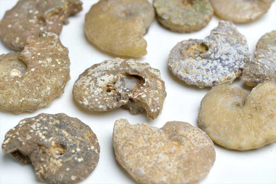 アンモナイト 化石 原石 方解石化 【モロッコ産】種類お任せ【約23g~約29g】単品販売ammonite｜morocco｜化石｜原石｜モロッコ｜フォッシル｜カルサイト｜天然石｜パワーストーン ■39ショップ■ 2