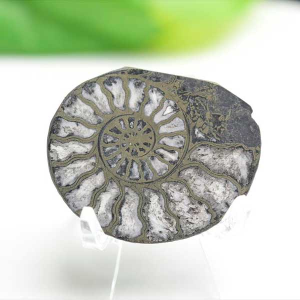 アンモナイト 化石 スライス 銅化 黄鉄鉱化【モロッコ産】【約11.9g】ammonite｜morocco｜化石｜原石｜モロッコ｜フォッシル｜銅｜パイライト｜アンモナイト｜天然石｜パワーストーン ■39ショップ■