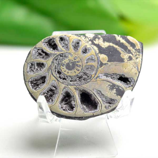 アンモナイト 化石 スライス 銅化 黄鉄鉱化【モロッコ産】【約18g】ammonite｜morocco｜化石｜原石｜モロッコ｜フォッシル｜銅｜パイライト｜アンモナイト｜天然石｜パワーストーン ■39ショップ■