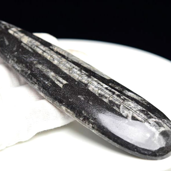 オルソセラス 直角貝 化石【モロッコ産】【約130.7g】オルソセラス｜Orthoceras｜化石｜原石｜モロッコ｜フォッシル｜天然石｜パワーストーン ■39ショップ■