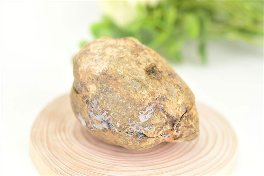 アップストーン楽天市場店の◆割れてないノジュール◆ 三葉虫 Trilobites 化石 団塊 フレキシカリメネ【モロッコ産】【約249.3g】三葉虫の化石｜Trilobites Nodule｜Flexicalymene ouzregui｜化石｜原石｜モロッコ｜フォッシル｜実験｜体験｜天然石｜パワーストーン ■39ショップ■｜アングル2