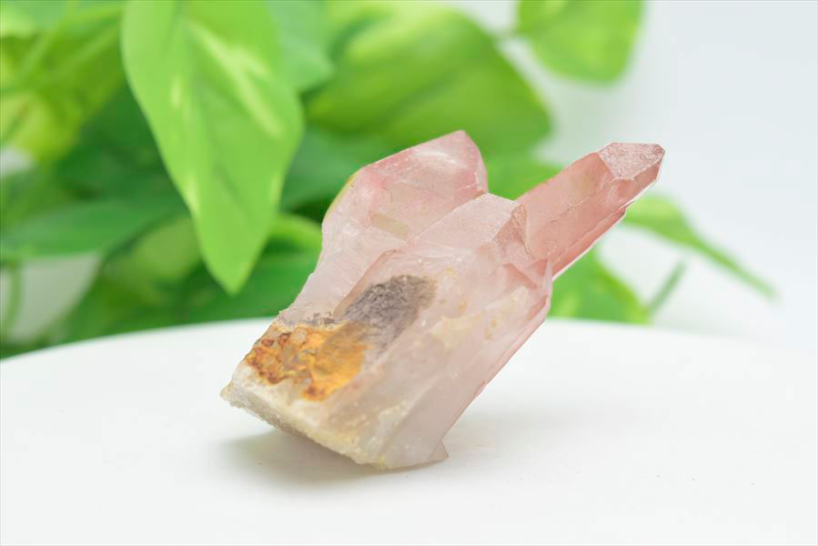 ◆限定◆ ピンクレムリアン 非研磨 レムリアンシード クラスター【約135.4g】■ブラジル・ミナスジェライス州ディアマンティーナ産■｜Morango Lemurian｜Scarlet Temple Lemurian｜ブラジル産｜レムリアンシードクリスタル｜水晶｜原石｜ ■39ショップ■330