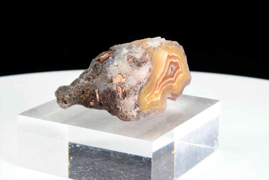 テーブルクロス タロットカード 12星座 ルーン 月相柄 マルチカバー ポリエステル製 正方形 北欧風 おしゃれ 部屋 寮 装飾 星空 植物 花柄 インテリア雑貨