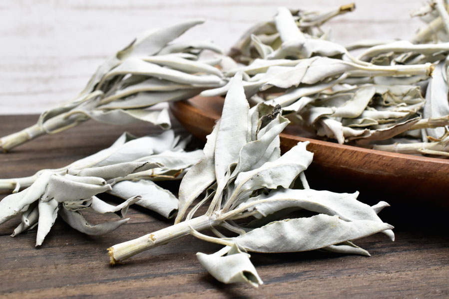 ■BOX販売【たっぷり約500g】■ ホワイトセージ 枝付きクラスター＆リーフミックス カリフォルニア産 オーガニック パワーストーン｜浄化｜ホワイトセージ｜クラスター｜お香｜ハーブ｜スマッジング｜ ■39ショップ■