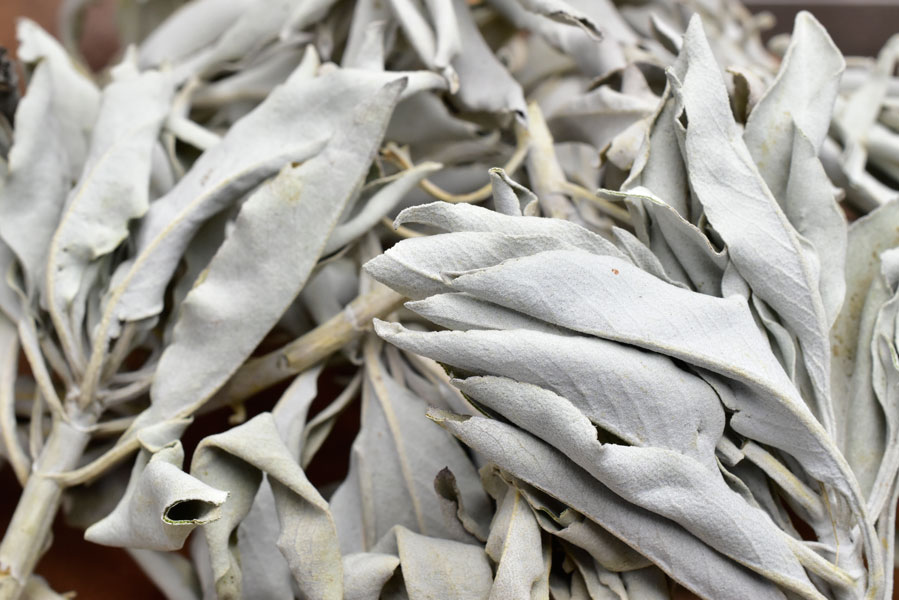 ■BOX販売【たっぷり約500g】■ ホワイトセージ 枝付きクラスター＆リーフミックス カリフォルニア産 オーガニック パワーストーン｜浄化｜ホワイトセージ｜クラスター｜お香｜ハーブ｜スマッジング｜ ■39ショップ■