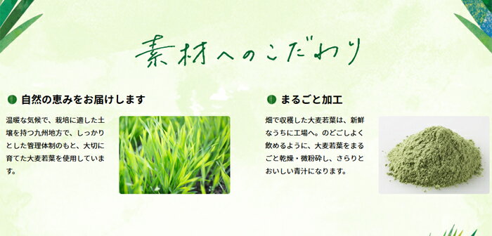 乳酸菌+酵素　大麦若葉（3g×60袋） 青汁 酵素 青汁 粉末 アサヒグループ食品 栄養...