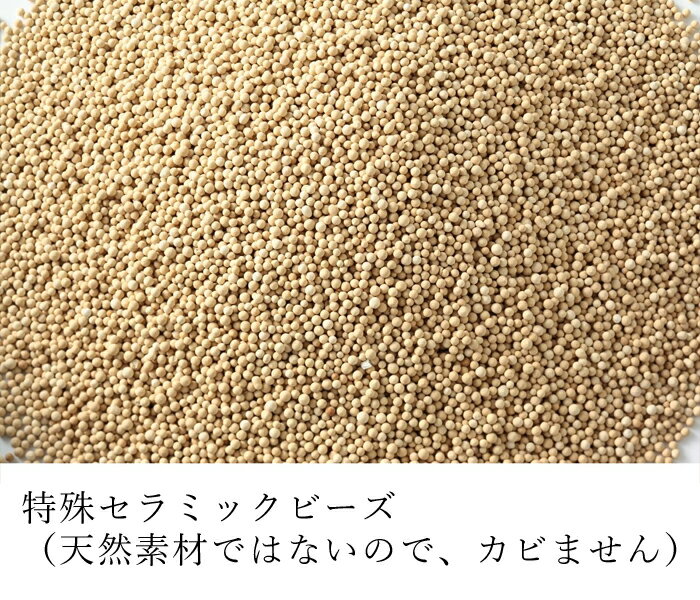 �ۥåȡ���������ѥå� �ե������� Salofix�ʥ����ե��å�����F20915 �ٻξ� �ܸ� ���� ���å� �������� ��Ǯ ���� �����ޥ��� �ܸ� ���� �����֤� �Żҥ�� ���������� �������� �ܤ���� ��� ���å� ���å��� ���å� �ץ쥼���