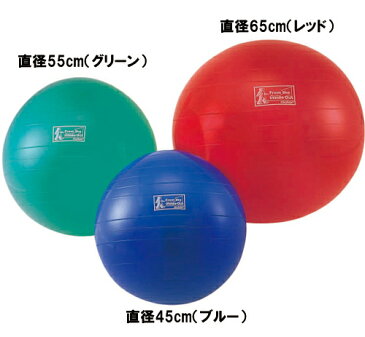 エクササイズボール 直径55cm MXEB55【モルテン】【バランスボール 体幹トレーニング】