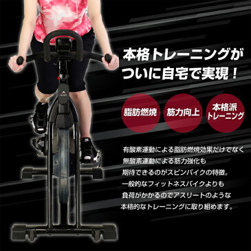 スピンバイク BK1500 アルインコ エアロバイク