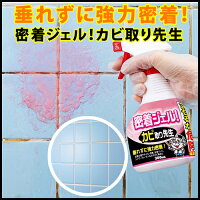 カビ取り剤 ジェル 密着ジェル！カビ取り先生（300mL） 26436 カビ取りジェル カビ取りスプレー