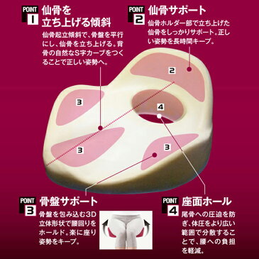 猫背矯正 仙骨クッション 仙律 アルファックス 椅子 クッション オフィス 猫背 矯正 デスクワーク 姿勢 矯正 クッション オフィス 椅子 クッション おすすめ