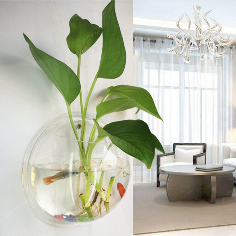 Rakuten - 壁掛け式水槽 金魚鉢 壁掛け植物 栽培 花瓶　盆栽 水槽 鉢植え 吊り下げ式水槽 植木鉢 壁に掛ける インテリア