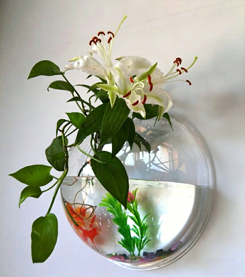 アップアップストアの壁掛け式水槽 金魚鉢 壁掛け植物 栽培 花瓶　盆栽 水槽 鉢植え 吊り下げ式水槽 植木鉢 壁に掛ける インテリア｜アングル2