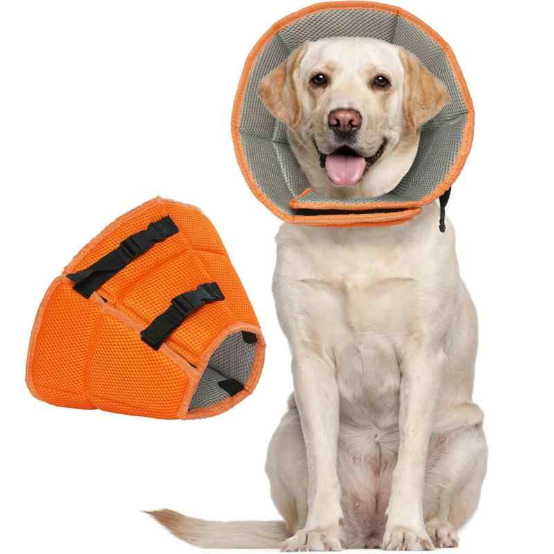 犬用エリザベスカラー