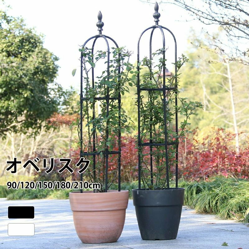 Rakuten - オベリスク ガーデン 支柱 トレリス ////m 操作簡単 金属製 簡易組立式 つる性植物 バラ用 支柱 花支え 花 園芸用品 バラ 薔薇 庭 ガーデニング 誘引 植物サポート オベリスクアーチ プランター 園芸用品 植物 鉢 庭 栽培 装飾 園芸