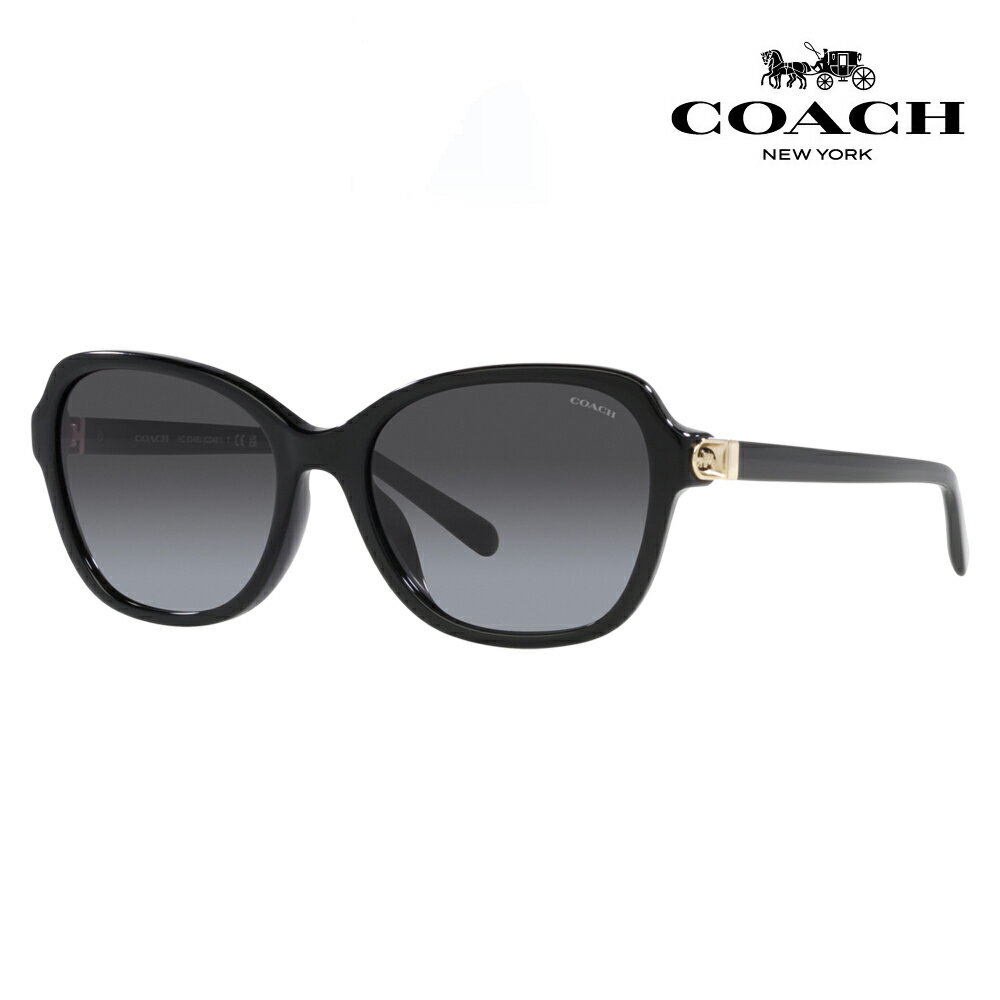 【正規(guī)品販売店】コーチ 伊達(dá) メガネ 眼鏡 サングラス HC8349U 50028G 56 COACH バタフライ セル レディース おしゃれ