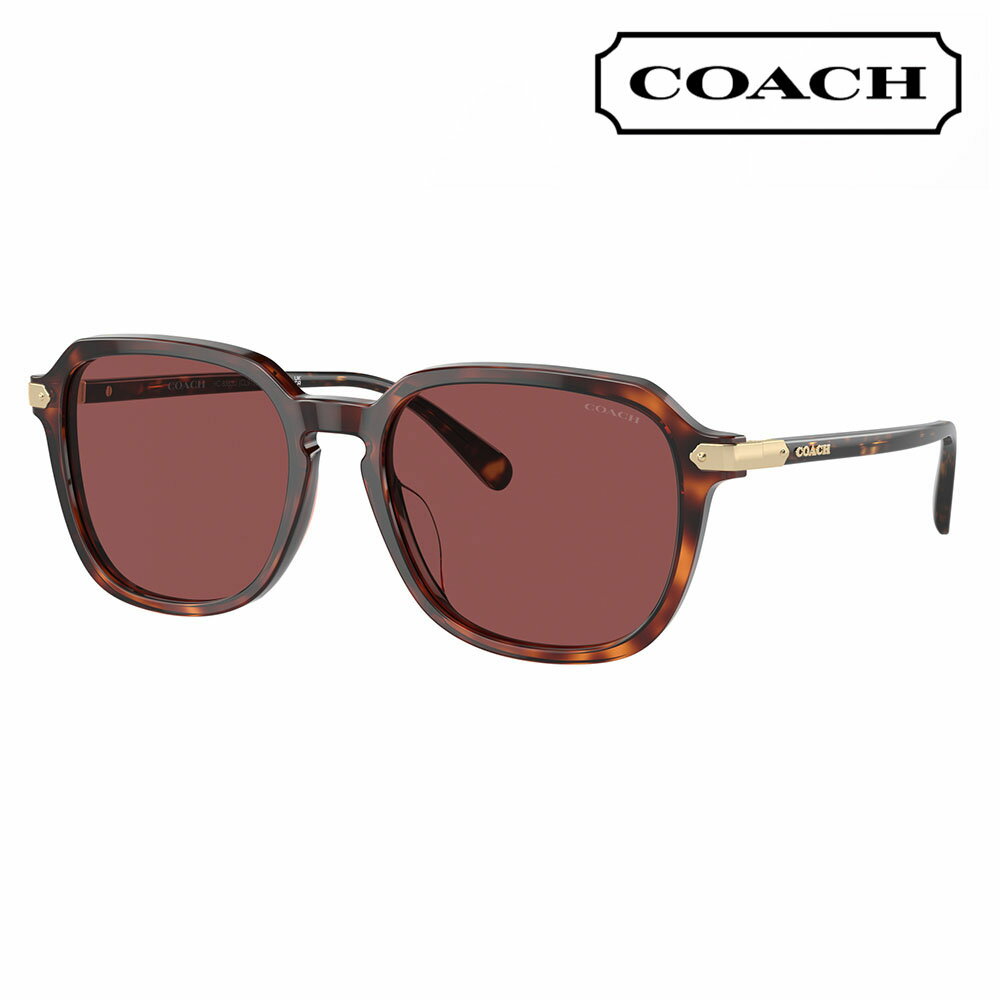 【正規品販売店】コーチ 伊達 メガネ 眼鏡 サングラス HC8383U 579875 55 COACH スクエア セル ユニバーサルフィット メンズ