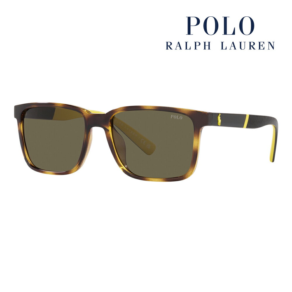 yKi̔Xz| t[ TOX PH4189U 5003/3 55 POLO RALPH LAUREN XNGA jo[TfUC Z ɒBKl ዾ