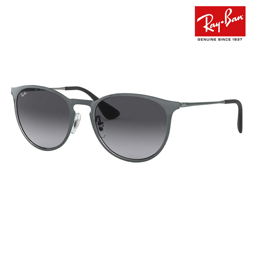 【正規品販売店】レイバン エリカ サングラス RB3539 192/8G 54 Ray-Ban レイバン純正レンズ対応 伊達メガネ 眼鏡 ERIKA メタル