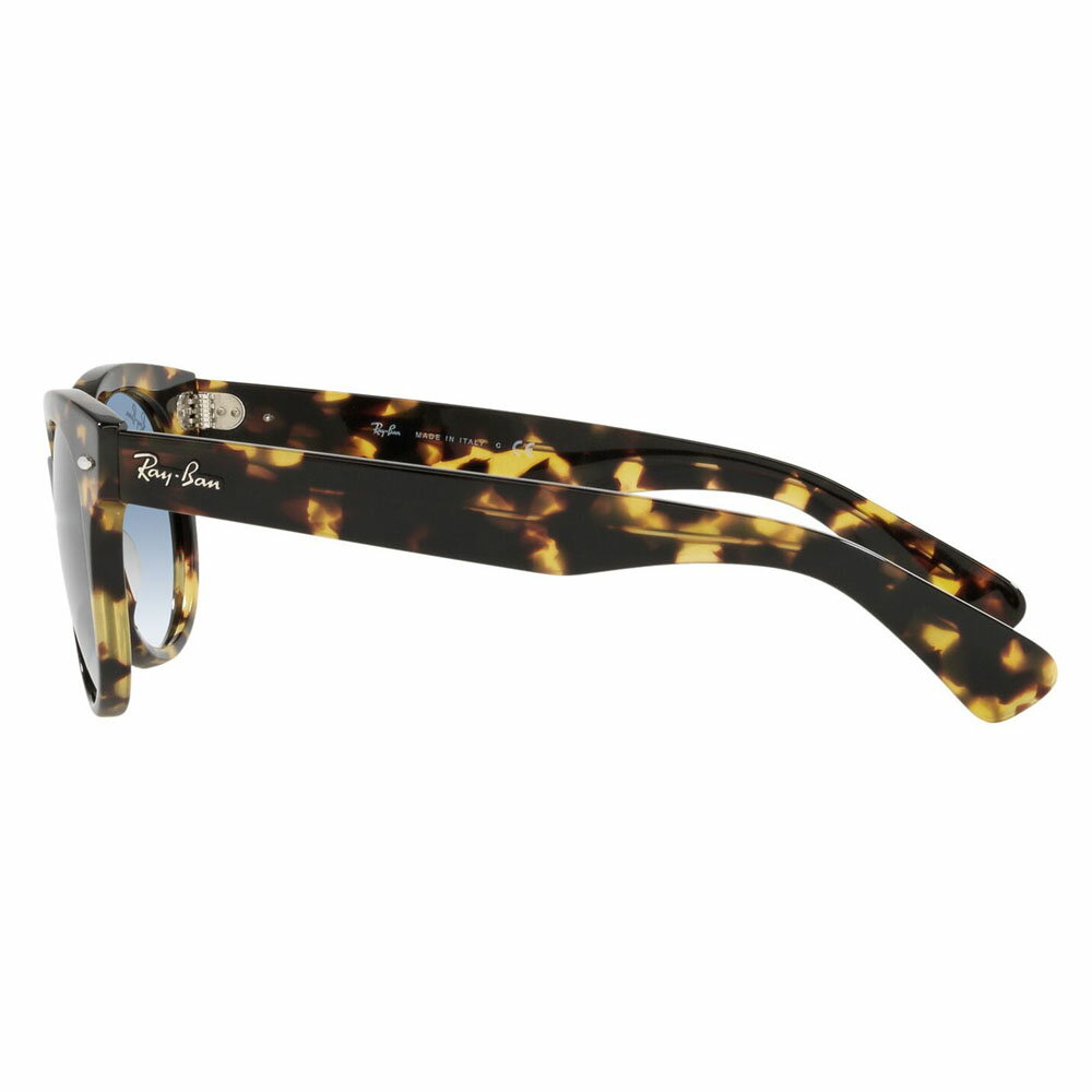 【正規品販売店】レイバン サングラス RB2199 13323F 52 Ray-Ban レイバン純正レンズ対応 ORION オリオン セル ボストン