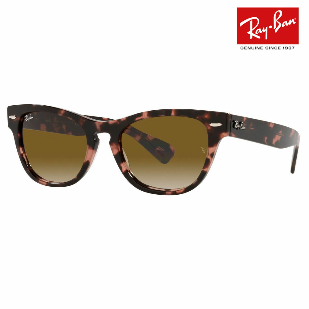 レイバン サングラス RB2201 133451 54 Ray-Ban レイバン純正レンズ対応 LARAMIE ララミー ウェリントン 伊達メガネ 眼鏡