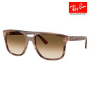 【正規品販売店】レイバン サングラス RB2213 142351 55 58 Ray-Ban セル スクエア ダブルブリッジ ユニセックス(4)