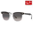 【正規品販売店】レイバン サングラス RB2298F 1294M3 54 Ray-Ban レイバン純正レンズ対応 HAWKEYE ウェリントン メンズ レディース おしゃれ new model ポラロイズド 偏光レンズ 伊達メガネ 眼鏡