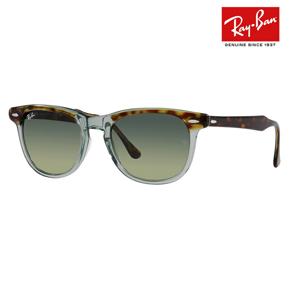 yKi̔XzCo TOX RB2398F 1376BH 53 Ray-Ban CoYΉ EAGLE EYE C[OAC ttBbgf EFg