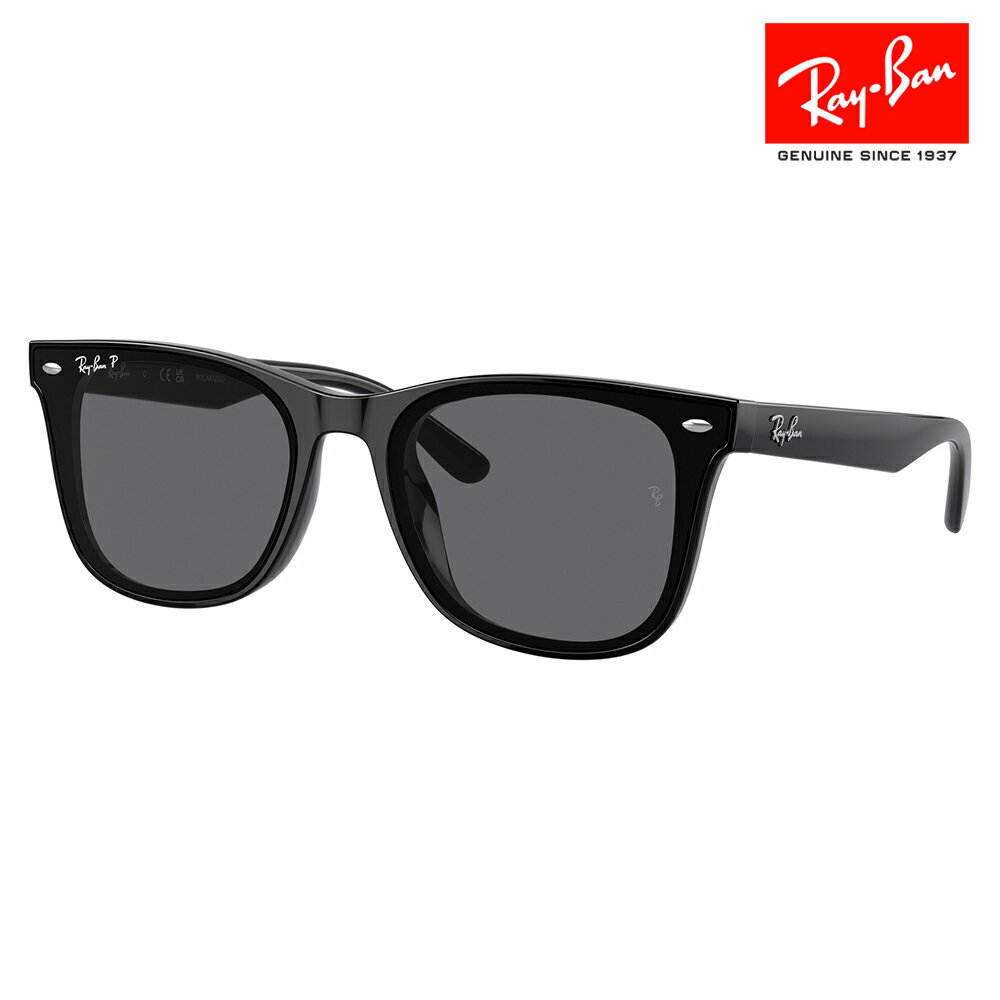 レイバン サングラス RB4391D 601/81 65 Ray-Ban レイバン純正レンズ対応 ウェリントン フラットレンズ アジアンデザインモデル 伊達メガネ 眼鏡