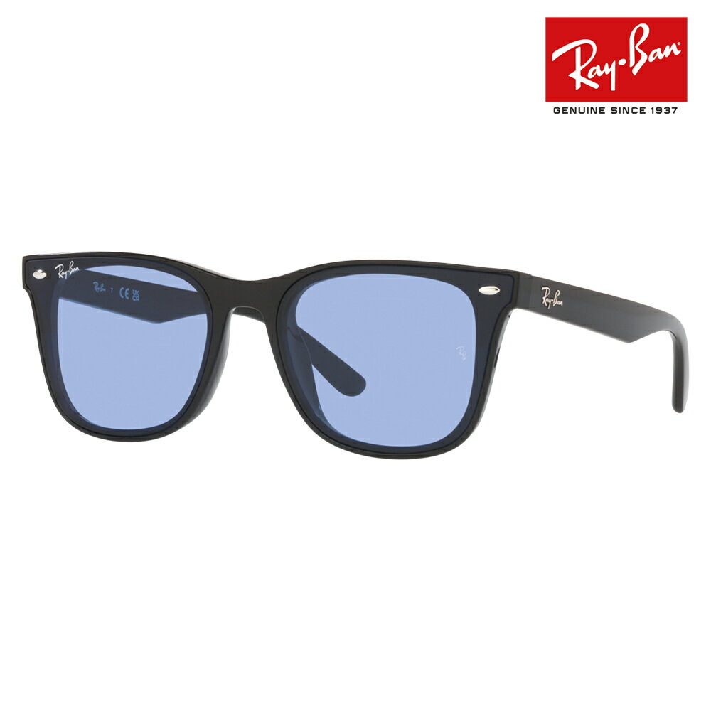 レイバン サングラス RB4391D 601/80 65 Ray-Ban レイバン純正レンズ対応 ウェリントン 大 ビッグ フラットレンズ アジアンデザインモデル 伊達メガネ 眼鏡