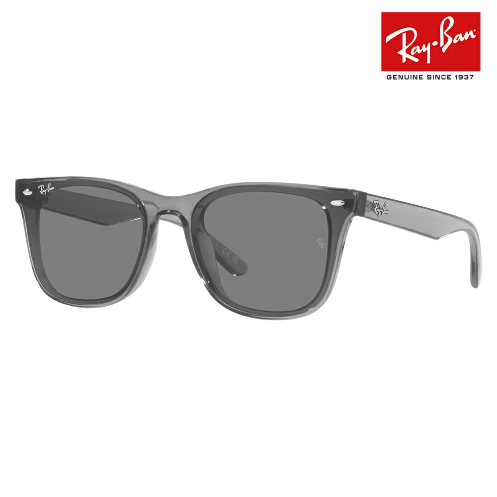 レイバン サングラス RB4391D 645087 65 Ray-Ban レイバン純正レンズ対応 ウェリントン 大 ビッグ フラットレンズ アジアンデザインモデル 伊達メガネ 眼鏡