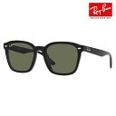 【正規品販売店】レイバン サングラス RB4392D 601/9A 66 Ray-Ban レイバン純正レンズ対応 ウェリントン 大きめ ビッグ フラットレンズ アジアンデザイン ライトカラー 偏光レンズ 伊達メガネ 眼鏡