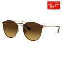 【正規品販売店】レイバン サングラス RB3546 900985 52 Ray-Ban レイバン純正レンズ対応 ラウンド ボストン ダブルブリッジ レディース メタル 伊達メガネ 眼鏡(4)