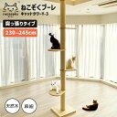【レビュー特典付】ねこぞく ブーレ 突っ張り棒タイプ キャットタワー Y-3 245cm 木製 猫タワー キャットウォーク 大型猫 おすすめ キャットステップ ...