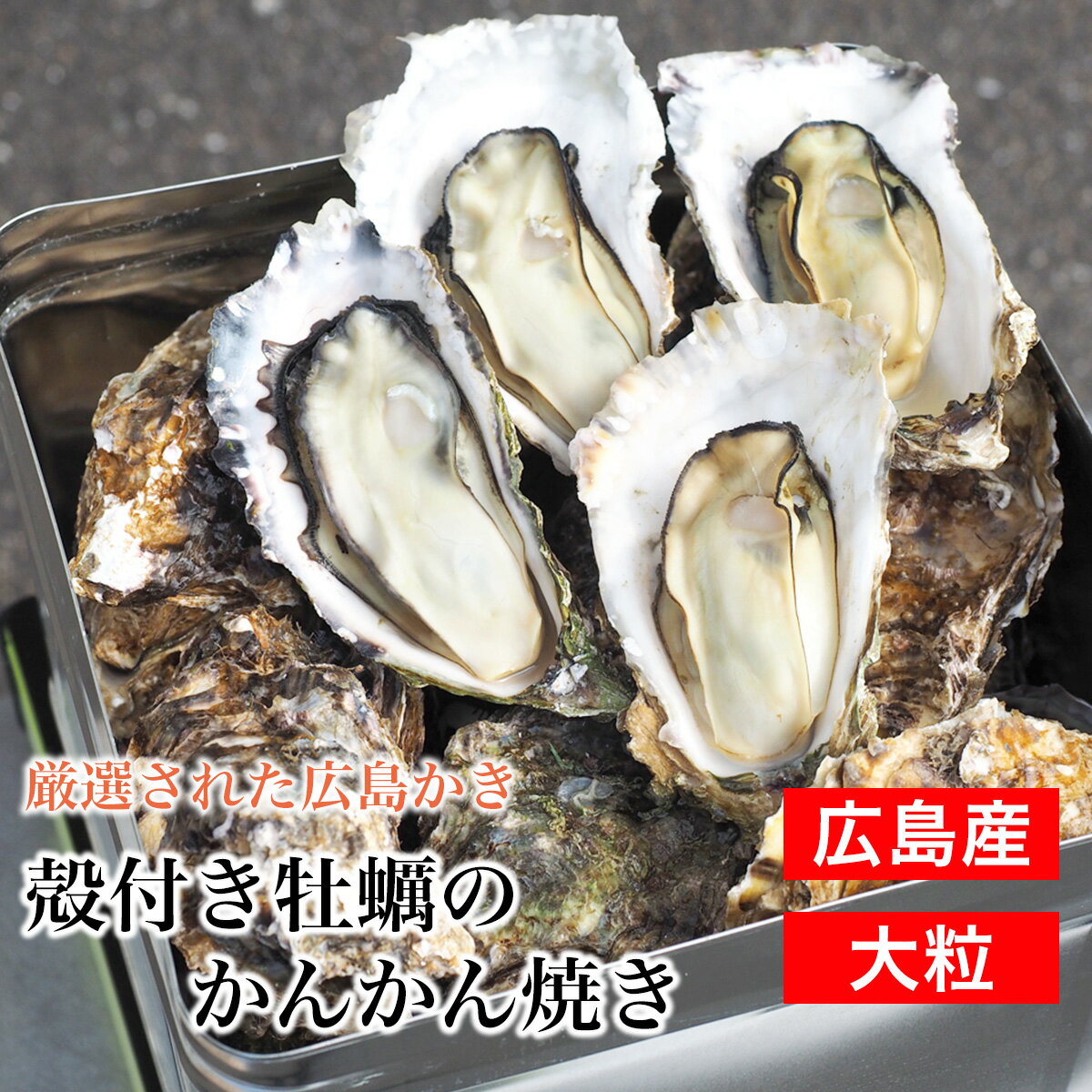 【送料無料】殻付き牡蠣のかんかん焼き 広島県産　占部水産　新鮮　直送　お取り寄せ　新鮮な殻付かきを生きたままお届けします♪