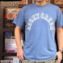 BUDDY ROCKY CREEK ピグメント ブルージーン Tシャツ バディ 青 ロッキーグリーク 半袖 ヴィンテージ加工 アメカジ トップス 原宿 メンズ ストリート ファッション ライトニング カットソー トップス 春夏