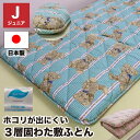 【1/20(土)10%OFFクーポン配布中】【在庫あり】送料無料 敷布団 ジュニア 85×185cm 日本製 ダクロン(R) FRESH 4穴 LINE BEAR ラインベアー しっかりタイプ 敷き布団 小さめ 清潔 アレルギー対応 3層固綿入り 4穴 ホコリが出にくい 敷ふとん インビスタ社 軽い 軽量