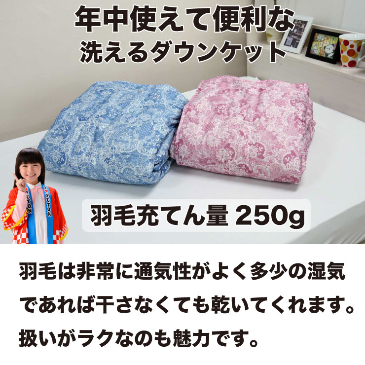 【6/1(日)10%OFFクーポン配布中】洗えるダウンケット　シングルサイズ　ご家庭の洗濯機で洗える羽毛肌掛け布団　(ウォッシャブル 夏 洗える布団 掛け布団 羽毛布団 掛布団 洗える 丸洗いok 丸洗い)