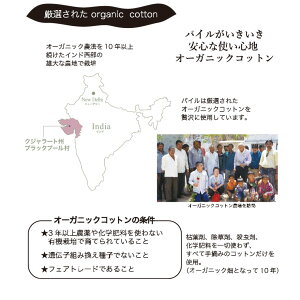 いとしのタオルエアーかおるエニータイムタオル日本製プレミアムタオルハーフバスタオル速乾業務用ホテル