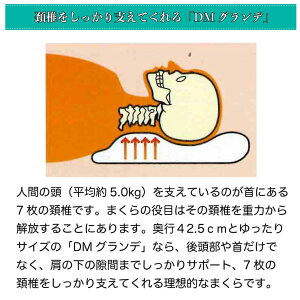 【正規販売店】マニフレックス高反発まくらDMグランデ【送料無料】
