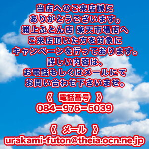【正規販売店】【送料無料】マニフレックス高反発マットレスディーディーウィング(シングル)マニフレックスDDウィング高反発マットレスシングルまにふれっくすmagniflex