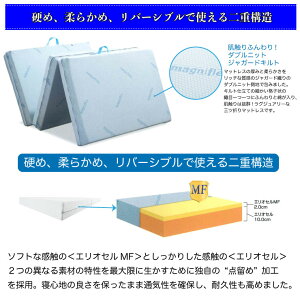 【正規販売店】【送料無料】マニフレックス高反発マットレスディーディーウィング(シングル)マニフレックスDDウィング高反発マットレスシングルまにふれっくすmagniflex