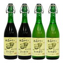 井筒ワイン 無添加 生ぶどう酒 生ワイン 2025 4本セット 季節数量限定 赤2本・白2本720ml クリスマス お正月 パーティ