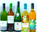 おススメ辛口ワイン飲み比べ/5本セット フランス2・アルゼンチン1・日本2(4)