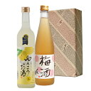 〆張鶴梅酒・ゆうこうのお酒2本セット500ml 10セット限定品 のみくらべ お歳暮 ギフト お中元