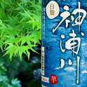 神浦川 白麹 芋焼酎 (25°) 720ml 長崎の芋焼酎 棚田米使用 超レア限定品