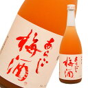 梅乃宿　あらごし梅酒（12゜)　720ml　リキュール