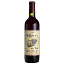 井筒 2024 酸化防止剤無添加ワイン コンコード赤中口 720ml 11月中下旬入荷予定